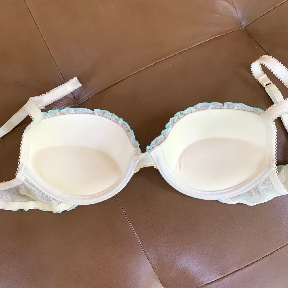 Blush Ruffled Mesh Bra - 32B - Picture 4 of 8